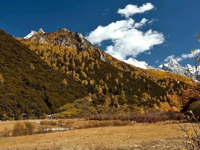 Best Autumn Viewing Experience 3/3 [Beyond Chonggu Grassland, Yading Nature Reserve]