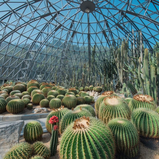 仙湖植物園（Xianhu Botanical Garden）：自然與生態的美麗結合