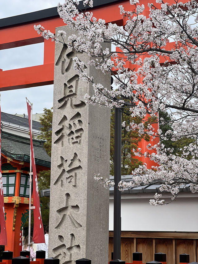 Exploring the Majestic Fushimi Inari Shrine