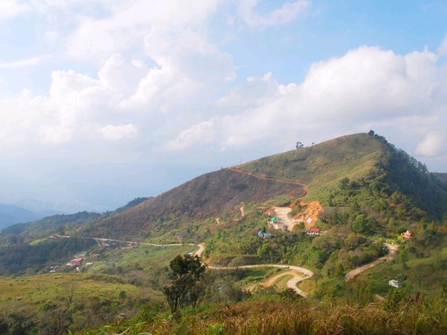 Doi Pha Tang ดอยผาตั้ง เที่ยวดอยเชียงราย