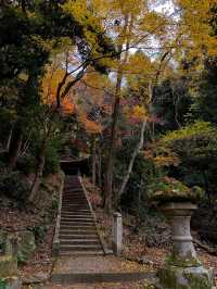 Autumn colors in Kyoto 🍁