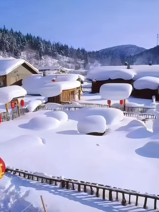 哈爾濱雪鄉旅遊｜3天純玩攻略