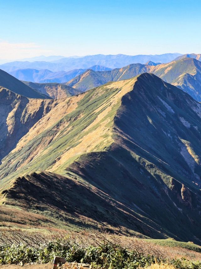 日本行山探索|週末林間之旅。