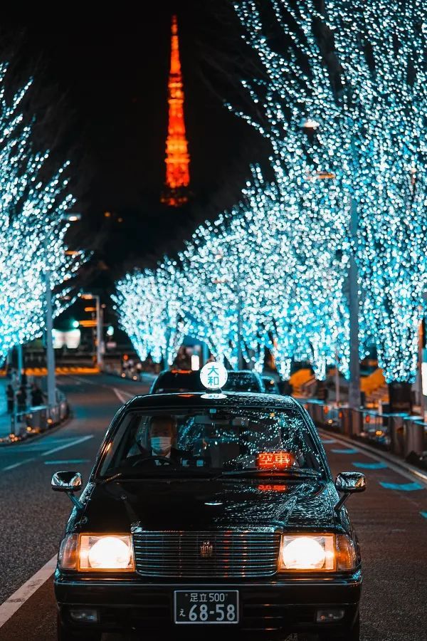 Experience the Magic of Tokyo's Christmas Lights Next Month