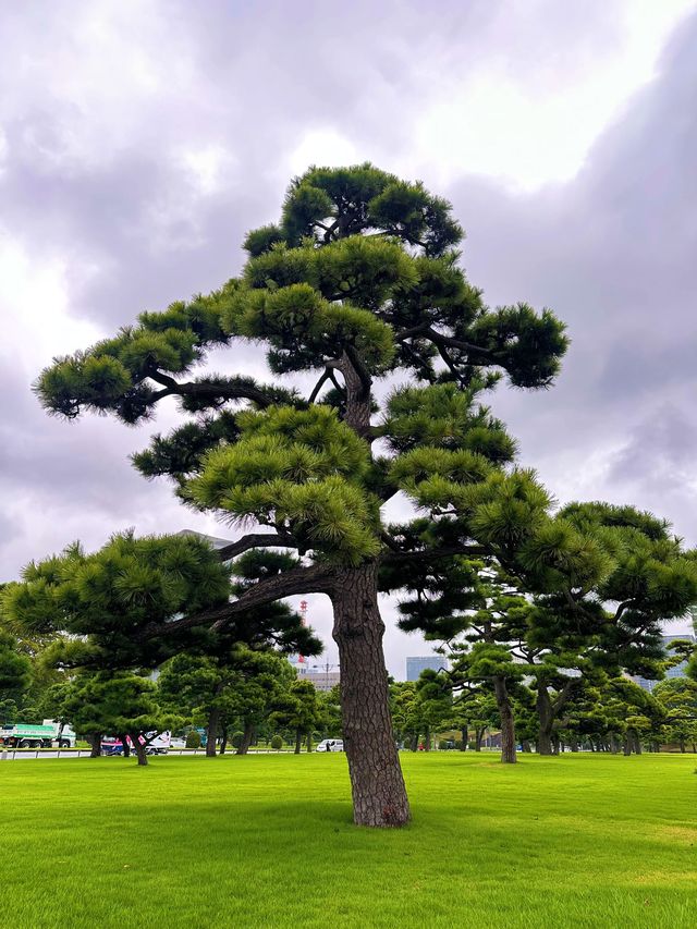 6日玩遍日本 超詳細攻略來啦。