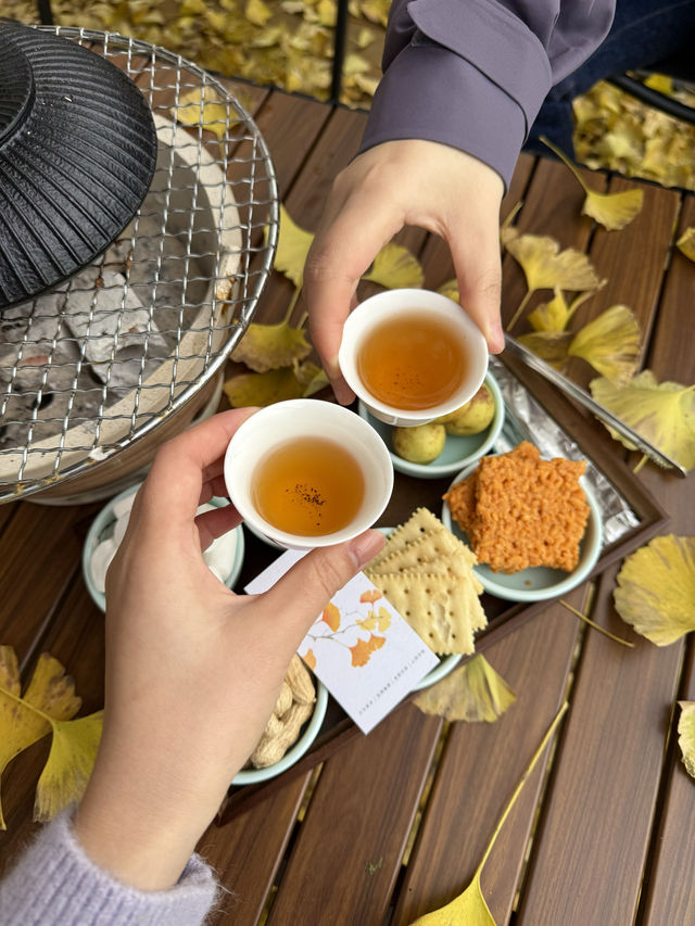 為了這片銀杏雨！我來了一趟青城後山！