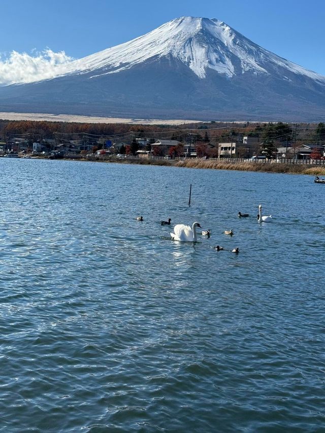 剛從富士山回來，真的很值得一去！