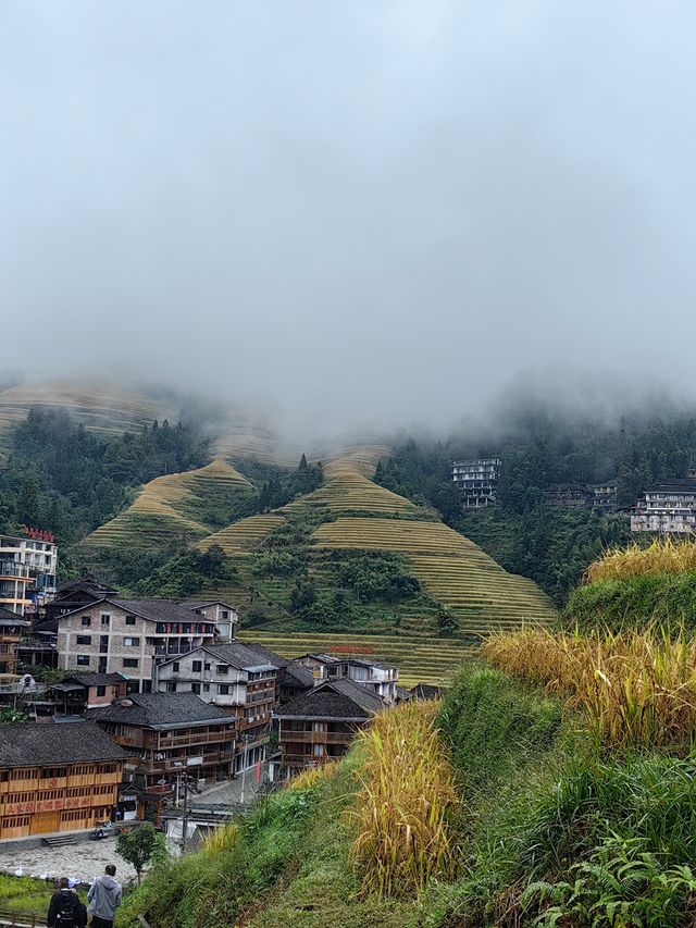 龍脊梯田金坑大寨