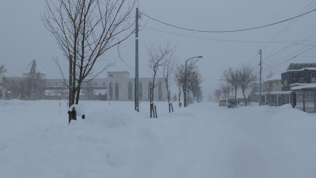 滿足了對北海道的一切想象❄️