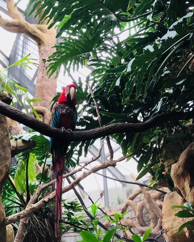 塔爾薩動物園：精彩的野生動物探險之旅 