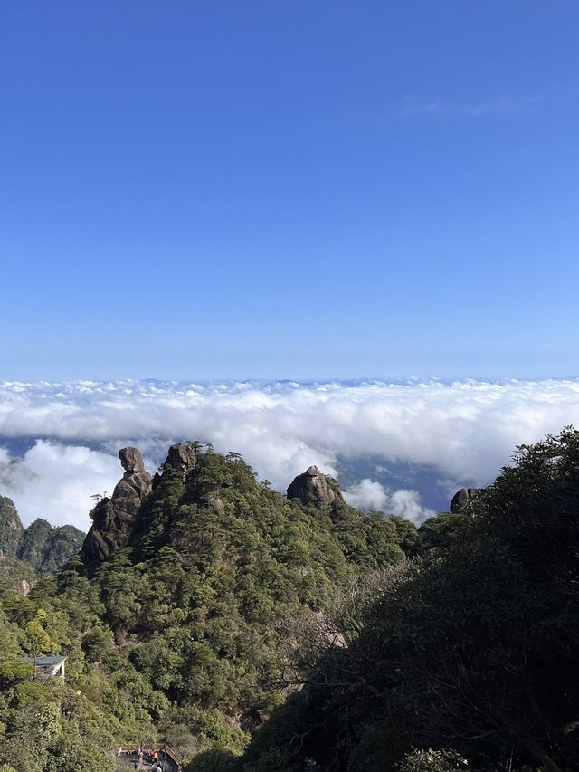 廬山-景德鎮-婺源｜6日深度遊 看這篇不踩雷