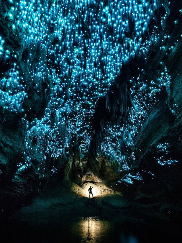 Comparison between North or South Island, Glowworm Caves in New Zealand