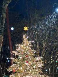 Spend a Magical Christmas in Karuizawa at Kogen Church