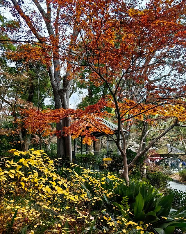 獨一無二的熱田神宮｜名古屋的千年神社，你所不知道的日本傳奇