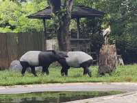 National Zoo of Malaysia