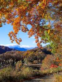 【栃木】自然の彩りの癒し旅