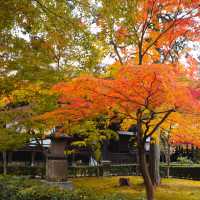 Shinnyodo Temple