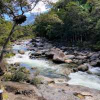 Daintree National Park, Queensland