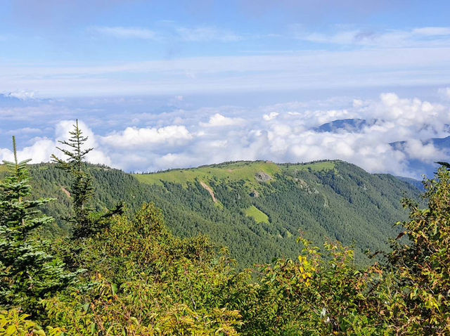 Mount Neko 🇯🇵 