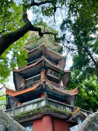 古剎隱幽林，探秘瀘山光福寺