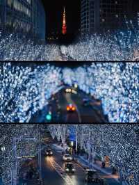 Experience the Magic of Tokyo's Christmas Lights Next Month