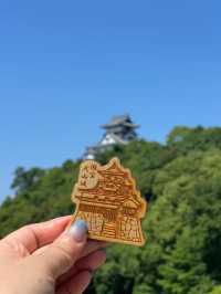 Half a Day in Inuyama, Totally Worth It 🏯