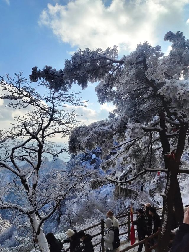 老君山雪景探秘之旅