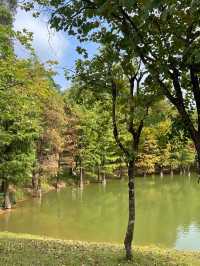 廣州華南植物園   天然氧吧