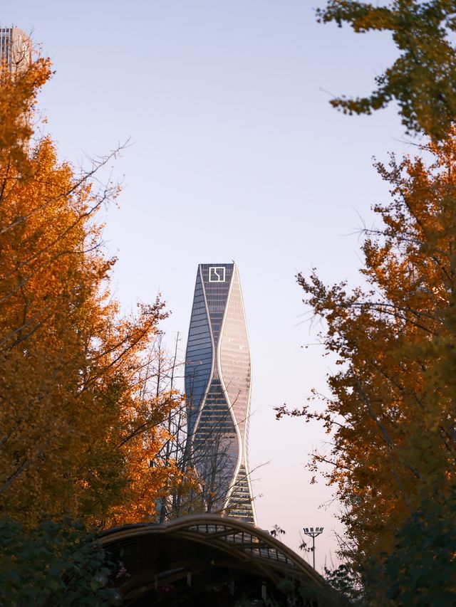 錢江世紀公園是杭州最寶藏的公園，絕無僅有！