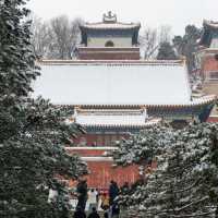 Winter in Beijing 🇨🇳 The Forbidden City 