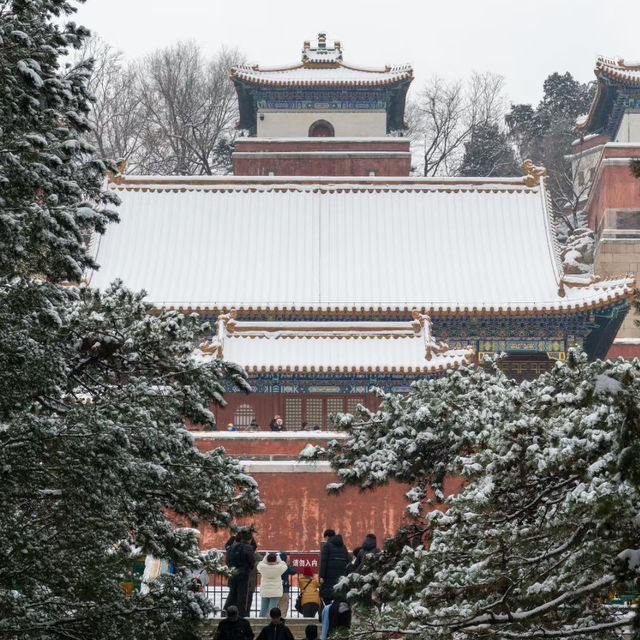 Winter in Beijing 🇨🇳 The Forbidden City 