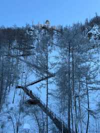 元旦呼倫貝爾等地遊雪原美景等你探索