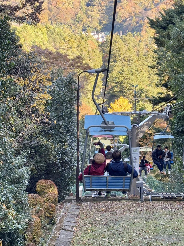 體驗四季風景：高尾山的悠然兩日