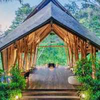 🌲 Bukit Bintang Banyan Tree 🌲 Resort in Bali 🌲 is definitely the ideal choice