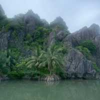 Truly remarkable SUPER -SPECTACULAR trip to beautiful Halong!