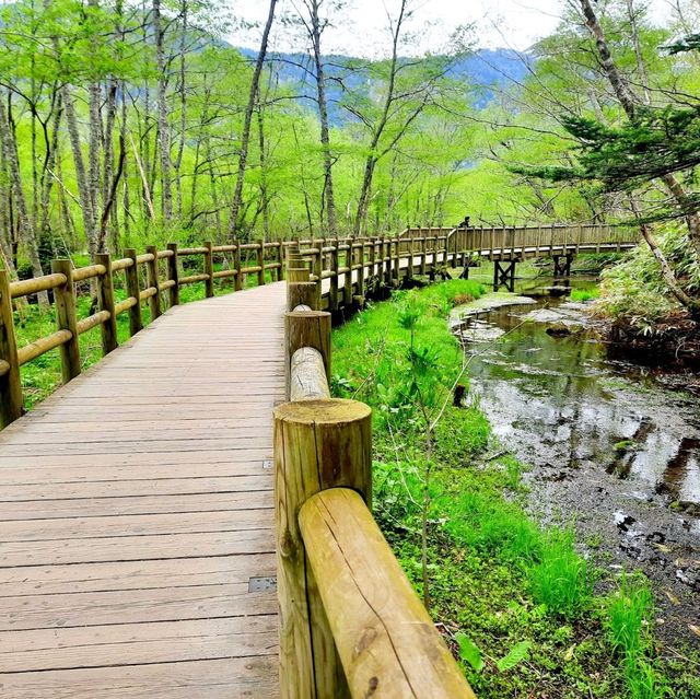 Kamikochi อุทยานท่ามกลาง Japan Alps สวยงามทุกฤดู 