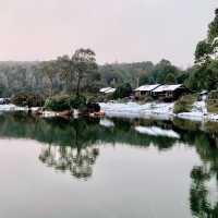 Cradle Mountain's Majestic Allure