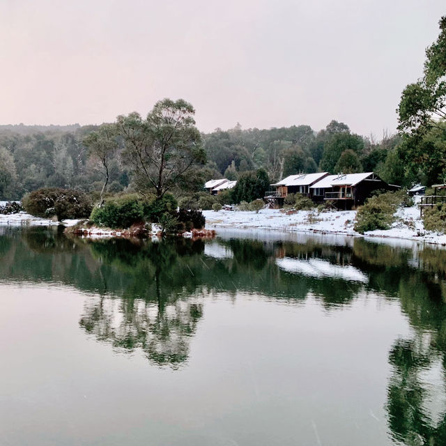 Cradle Mountain's Majestic Allure