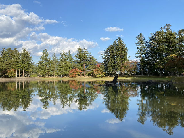 【岩手】世界遺産・平泉は1日で周れる穴場スポット！