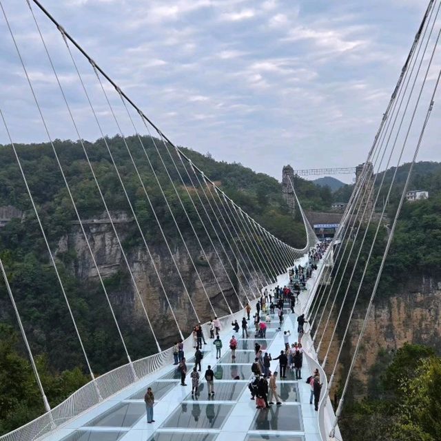 Zhang Jiajie Glass Bridge