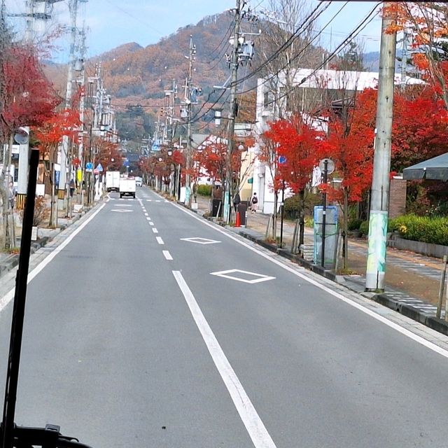 浸泡在露天溫泉，觀賞著遍山紅葉