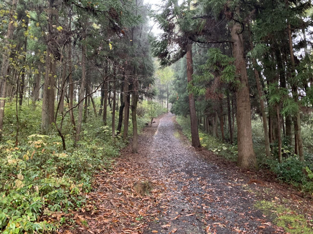 平泉世界遺産　金鶏山