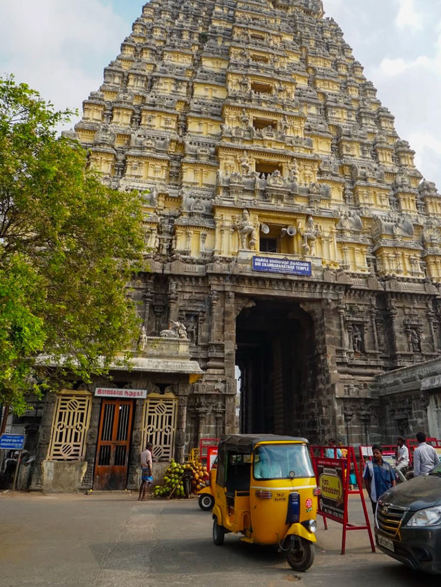 A Journey Through South India: Culture, Cuisine, and Nature