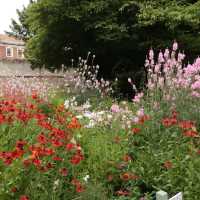 Yorkshire Museum & Museum Gardens