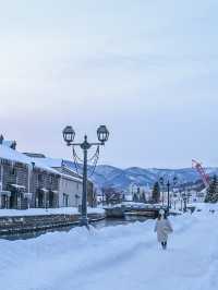 【北海道/小樽】冬に行きたくなる雪の絶景観光地☃️