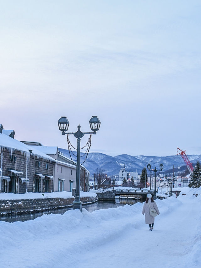 【北海道/小樽】冬に行きたくなる雪の絶景観光地☃️