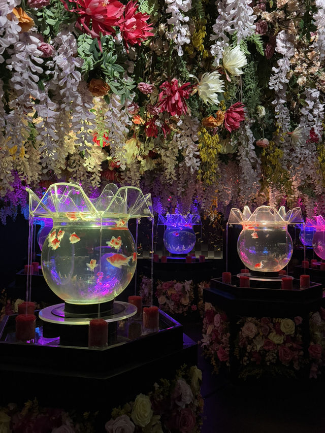 A museum for.....fish? In tokyo!