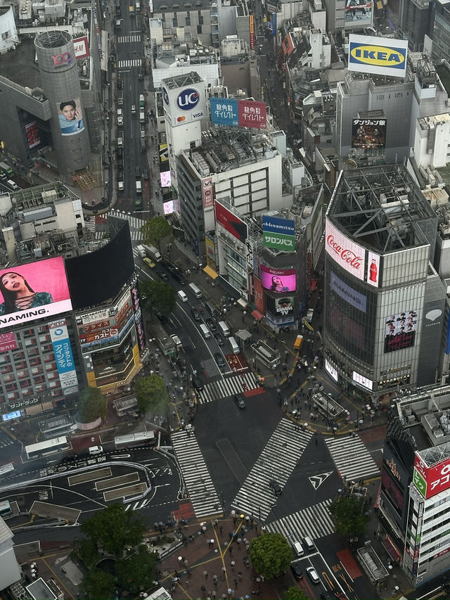  Soaring Above Tokyo: The Magic of Shibuya Sky