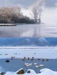 人生建議：南方人第一次滑雪來神農架