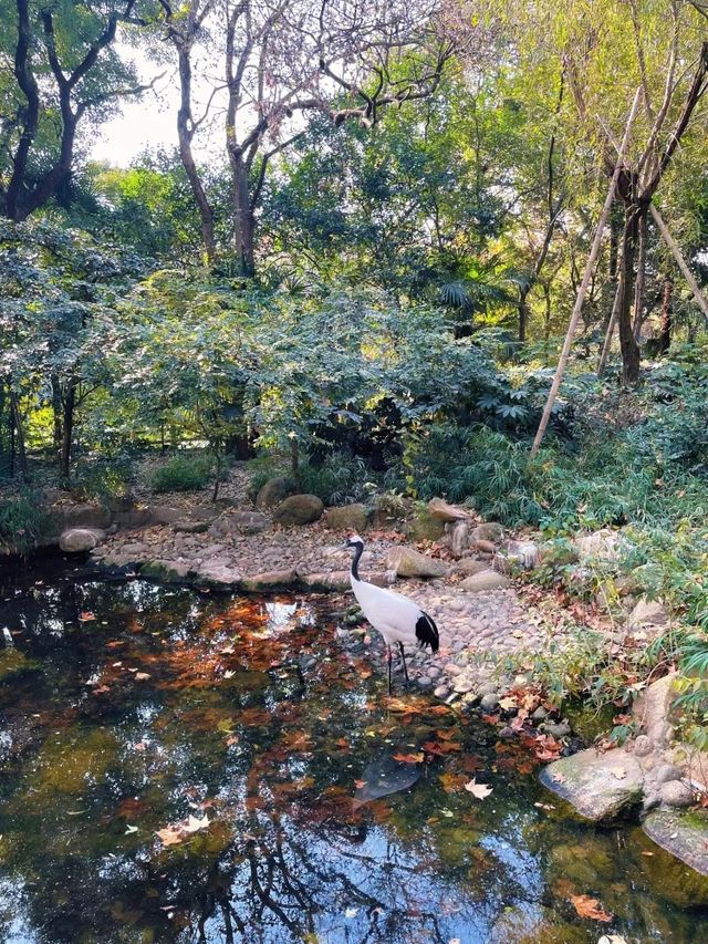 地鐵直達，踏青、露營、看動物，上海遛娃必逛~